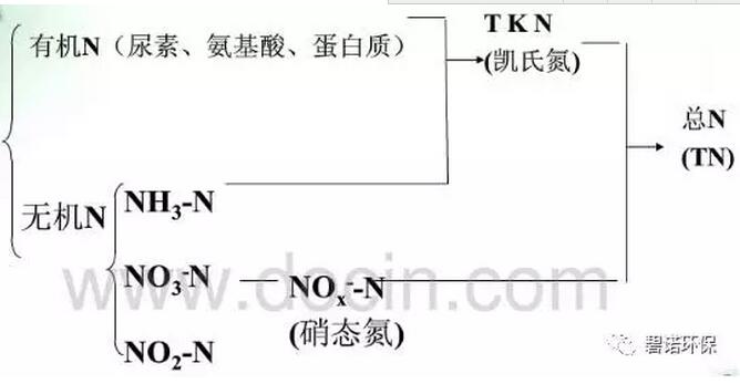 污水处理——深入浅出谈氨氮